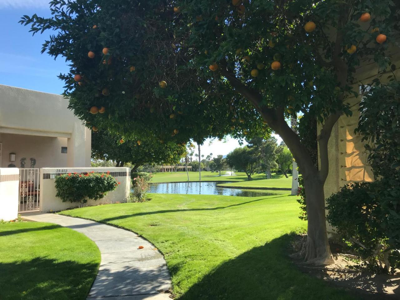 הוילה קת'דרל סיטי Palm Springs-Desert Princess Country Club מראה חיצוני תמונה