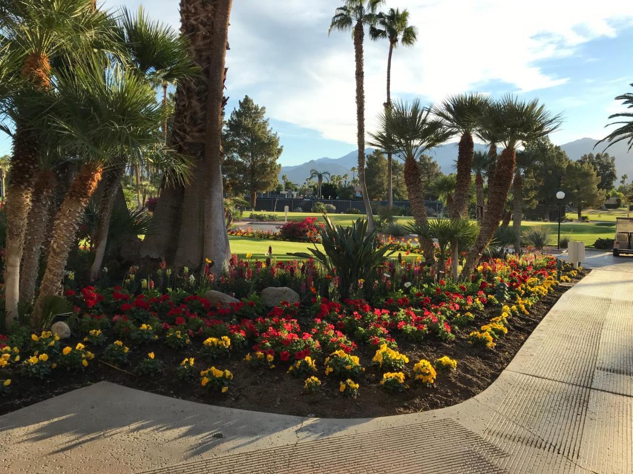 הוילה קת'דרל סיטי Palm Springs-Desert Princess Country Club מראה חיצוני תמונה